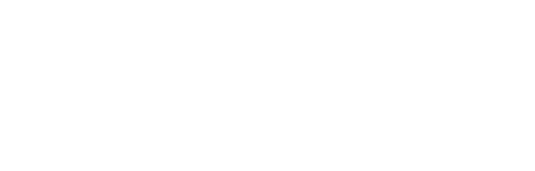 Flourishing Diversity Logo
